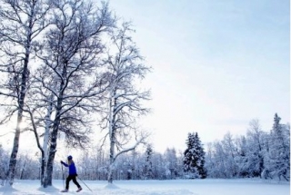 Marcha nórdica en el barco 